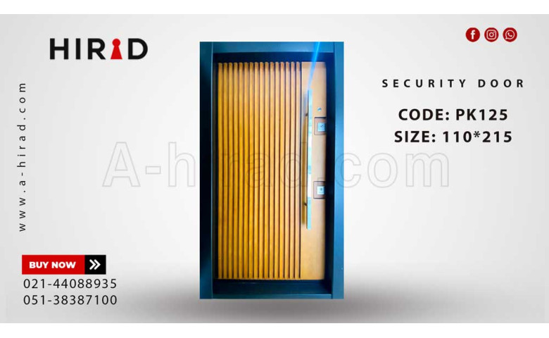 درب ضد سرقت مدل PK125